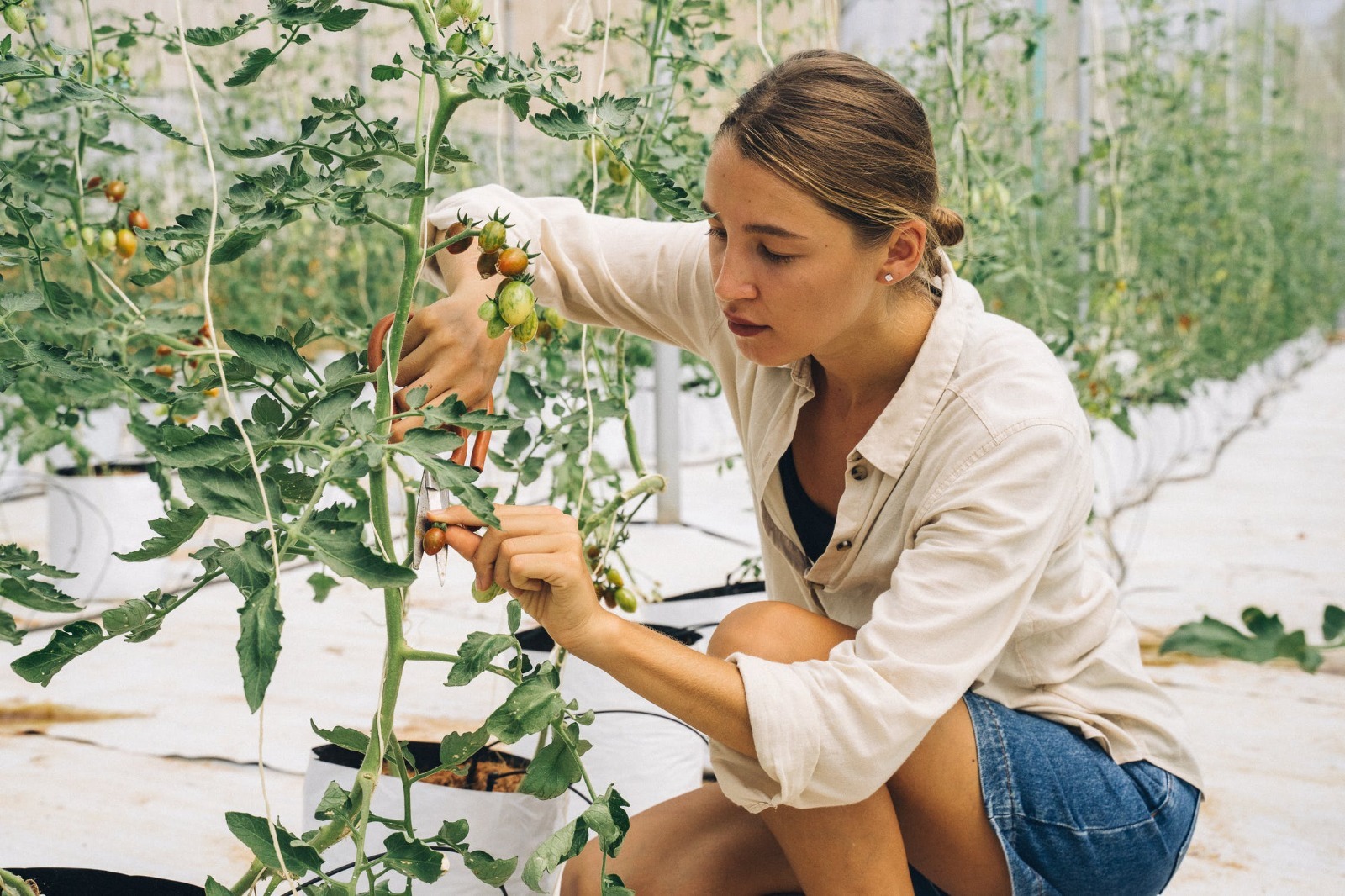 el campo busca agricultores jóvenes y bien formados para afrontar los nuevos desafíos